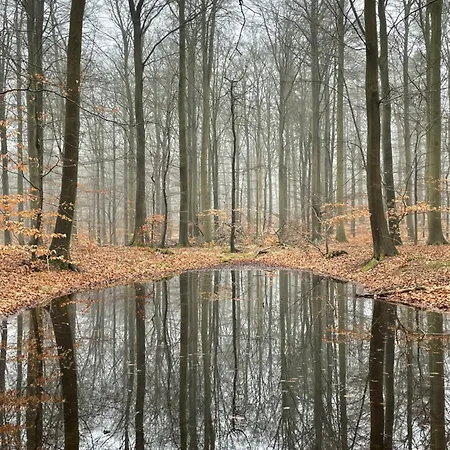 Apartmanhotel Bed & Kitchen