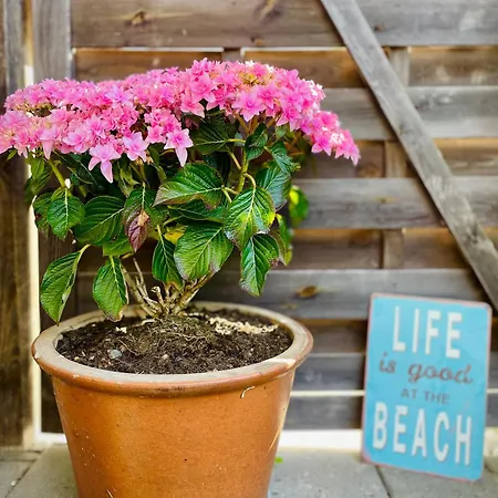 公寓式酒店 Bed & Kitchen